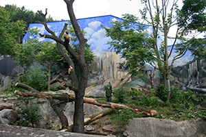 ZOO - výběh medvědů (Ústí nad Labem)
